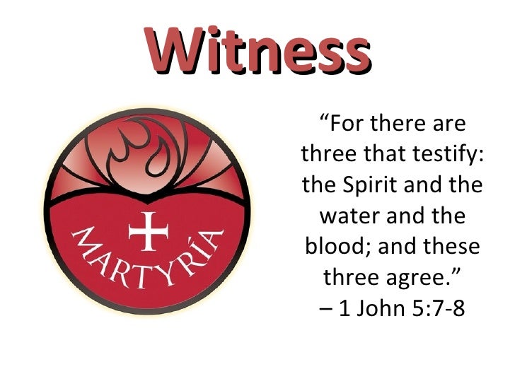 Testimony to the Son